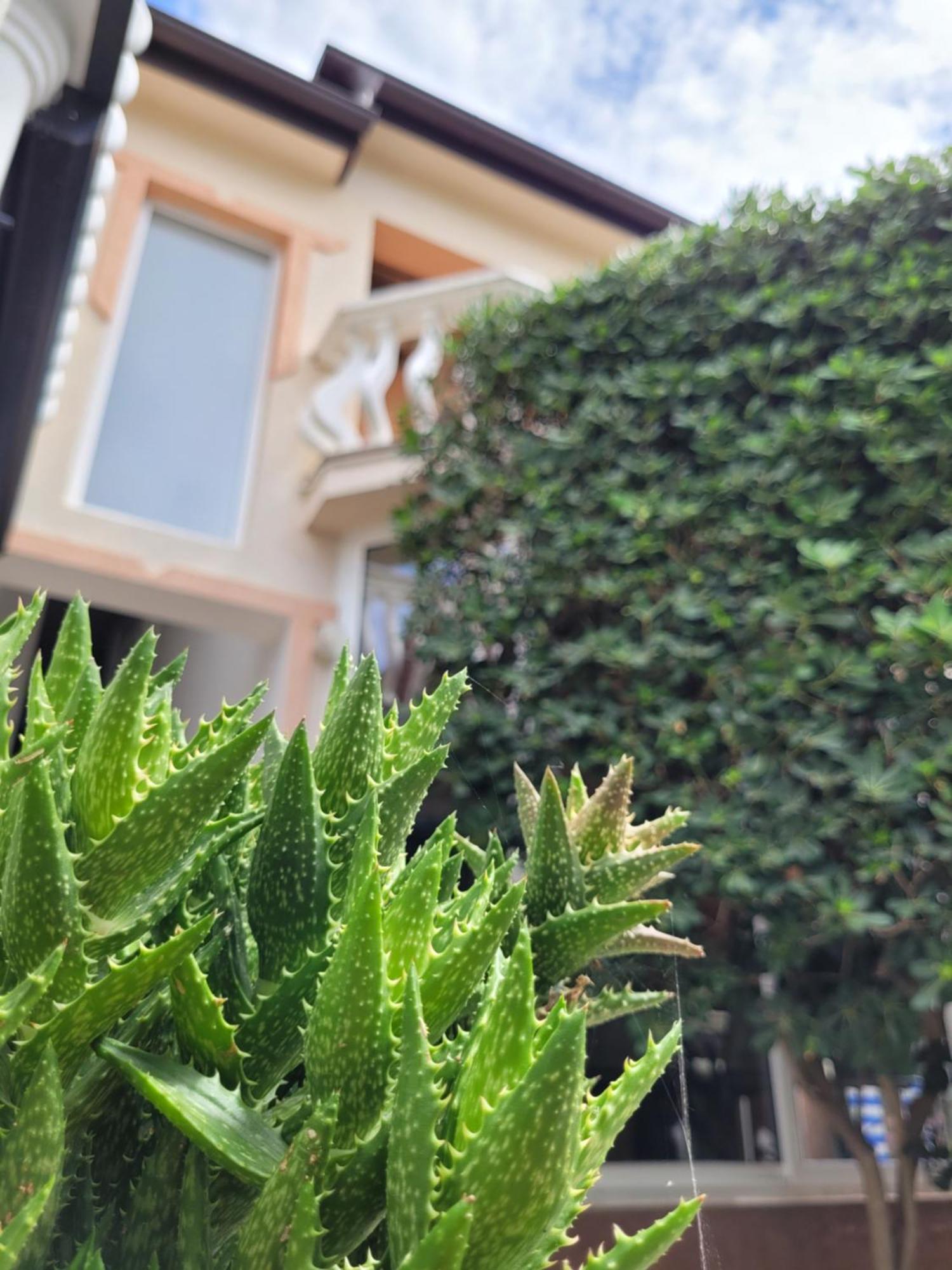 Apartment Jelena Vir Exterior foto